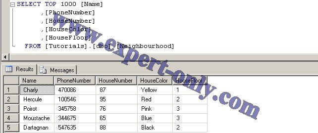 Requête SQL Server pour vérifier la jointure SSIS