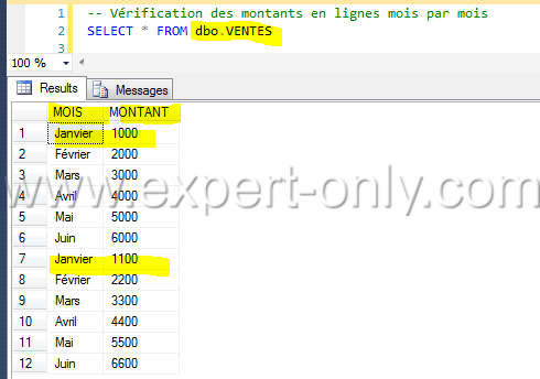 Résultat de la requête source SQL Server pour transposer les lignes en colonnes.