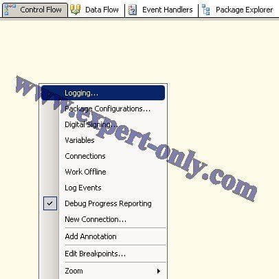 Right-click from Visual Studio to configure the SSIS log.