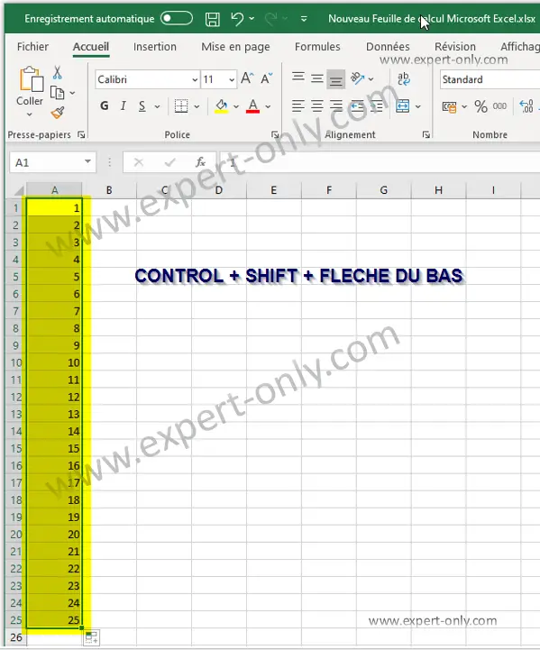 Utiliser le raccourci pour sélectionner une colonne Excel entière