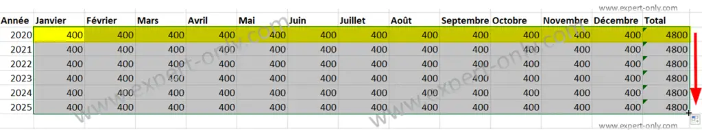 Dupliquer les lignes du tableau Excel et le total