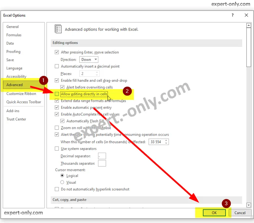 In the Advanced Excel options untick the Allow editing directly in cells option