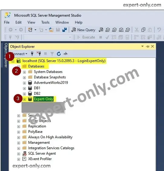 Sql Server database created with a T-SQL script visible under Databases menu