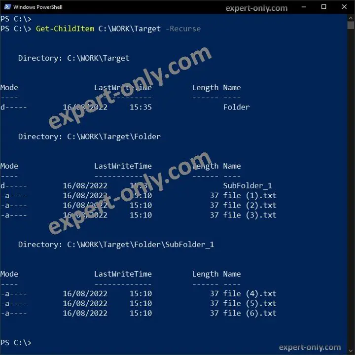 Mostrar archivos y carpetas en la carpeta de destino de forma recursiva en PowerShell
