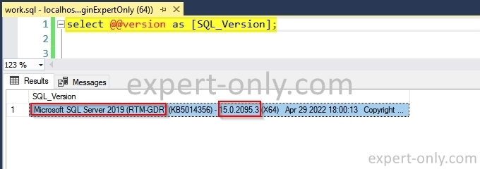 Check the version of the SQL Server database instance using SSMS