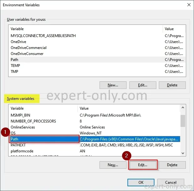 Edit Windows Environment System variables from the System Properties menu