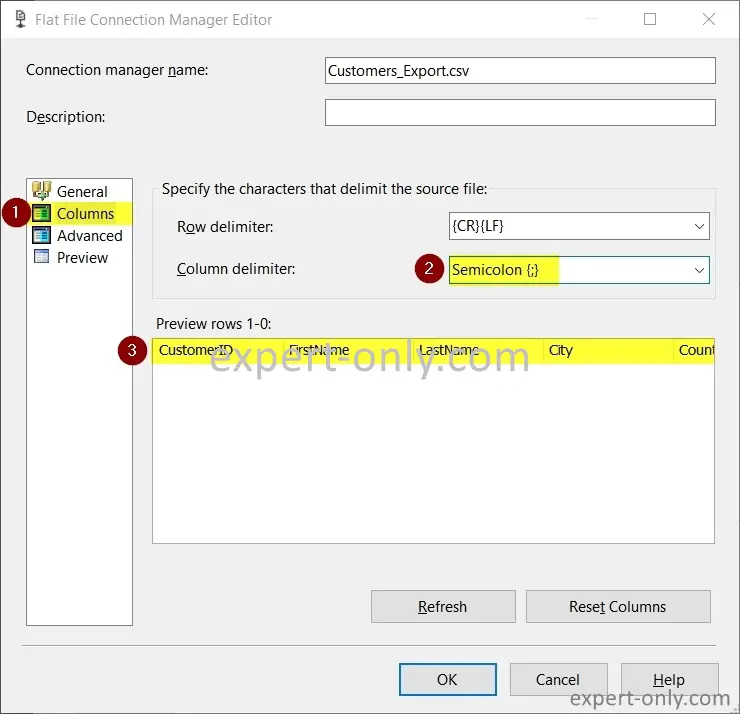 Choose row and column delimiters of the file to export with SSIS