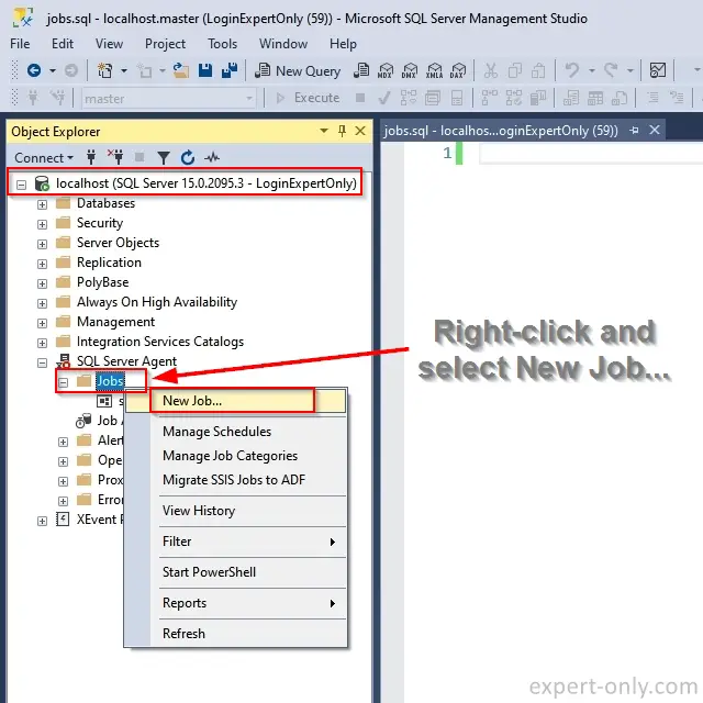 In SSMS, create a New Job with a right click on the Jobs folder