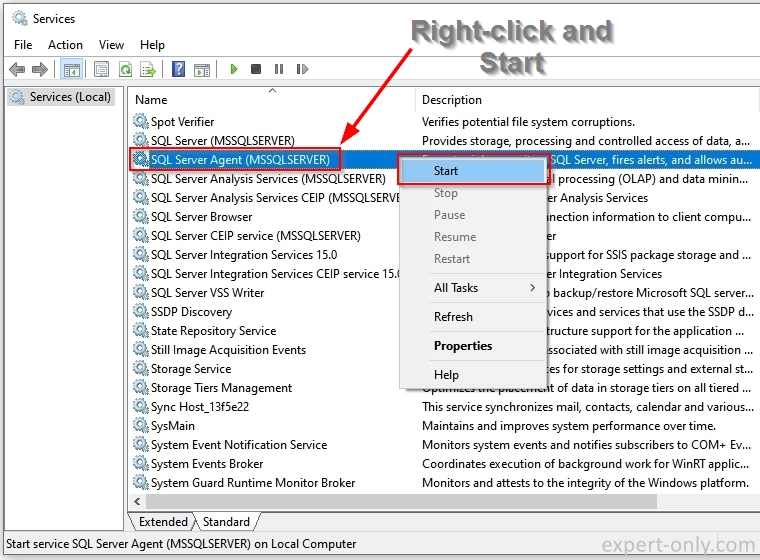 Start the SQL Server Agent service from Windows Services