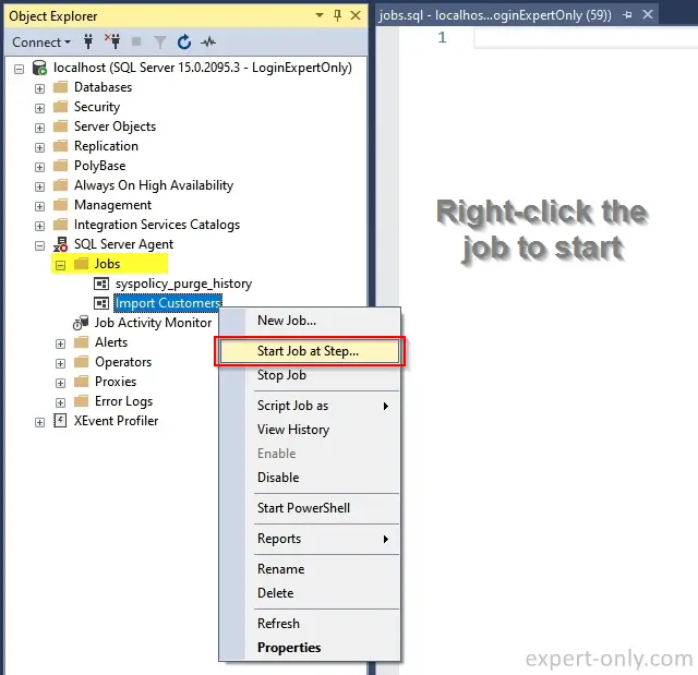 Run an SSIS package manually with the SQL Server Agent