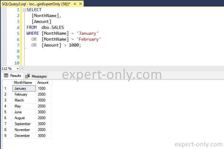 SQL Server SELECT query examples to display specific data using the OR operator as a filter