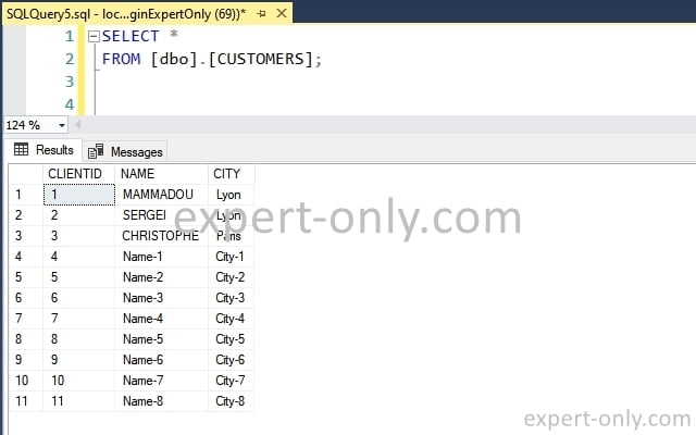 Select the data inserted with the dynamic T-SQL stored procedure