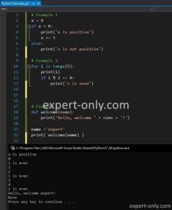 Syntaxe de base du langage Python avec des exemples - Python